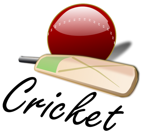 Крикет битой и мячом векторное изображение
