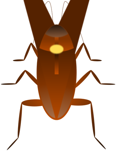 Ilustración de la cucaracha