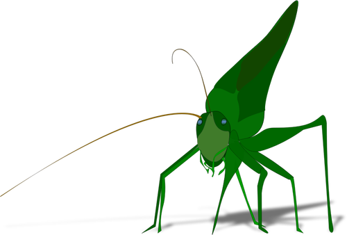 Vektorikuva vihreästä heinäsirkasta
