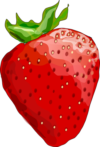 Vektor illustration av glänsande jordgubbe