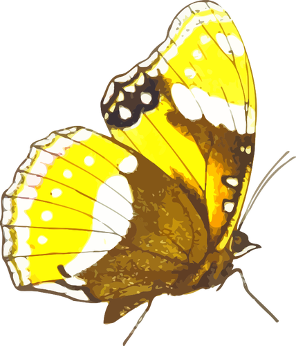Papillon rétro