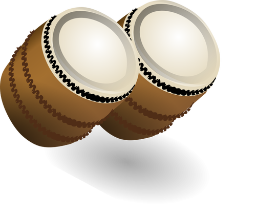 Un par de bongos vector illustration