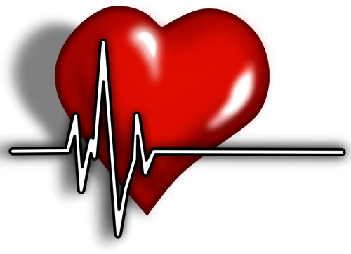 Sydän, jossa on EKG-monimutkainen vektorikuva