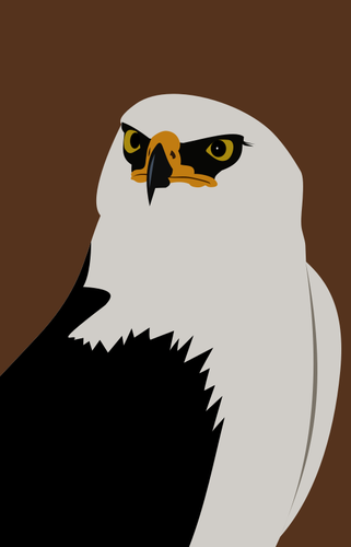 Dibujo de águila
