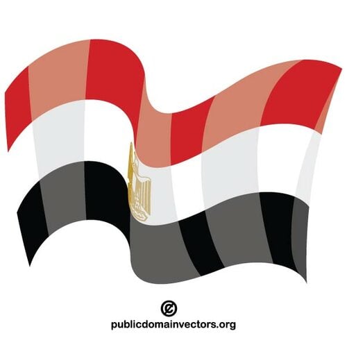 이집트 국기를 흔들며