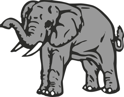 Gajah vektor ilustrasi