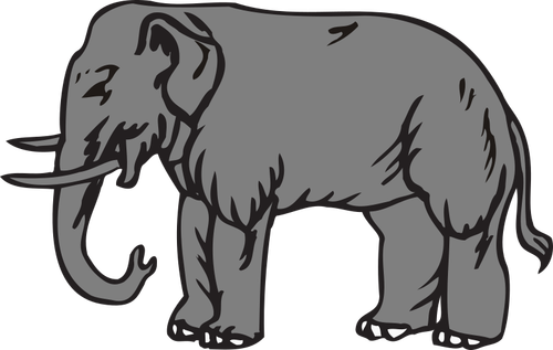 Big elephant vector clip art