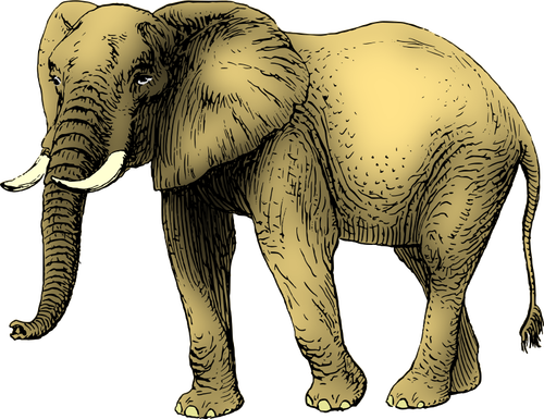 Elefant colorat in galben