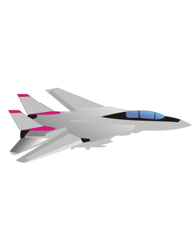 Grumman F-14 Tomcat Flugzeugen Vektor-Bild