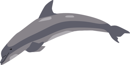 Delfin i en hoppe