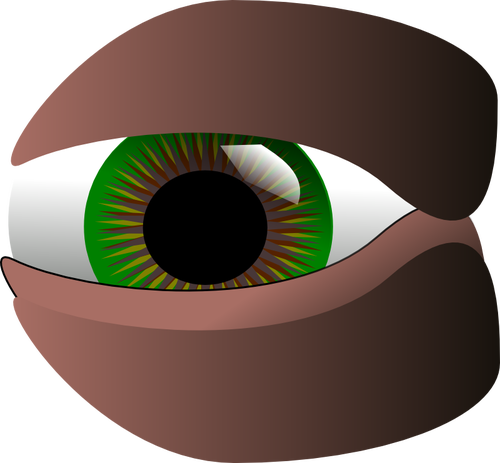 Vector clip art of green eye