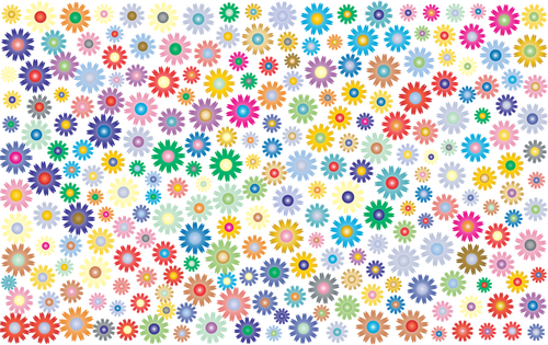 Molti fiori colorati