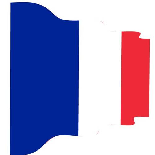 프랑스의 물결 모양의 국기