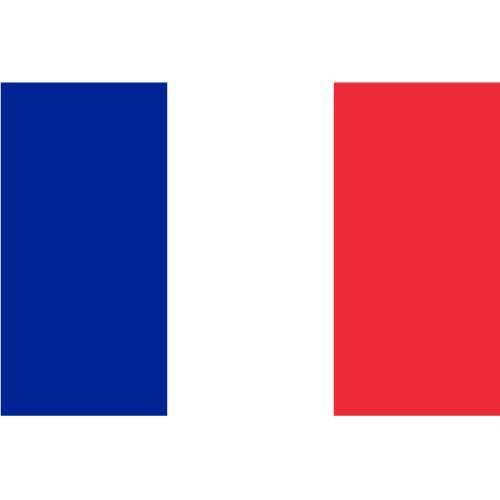 Vecteur de drapeau Français