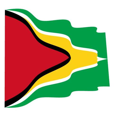 Wavy flag of Guyana