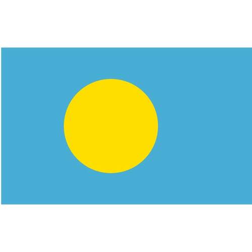 Vector bandiera di Palau