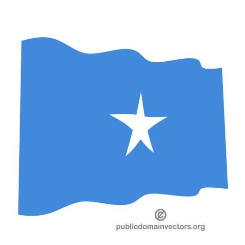 소말리아의 물결 모양의 국기
