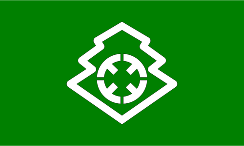 Toyotsu, Fukuoka flagg