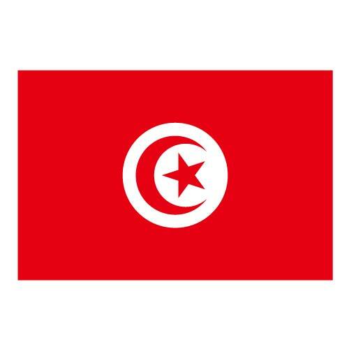 Vector Tunisias flagg