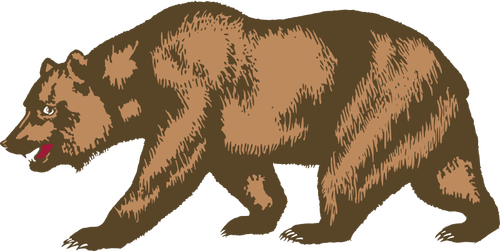 حديقة الحيوان الدب صورة المتجه