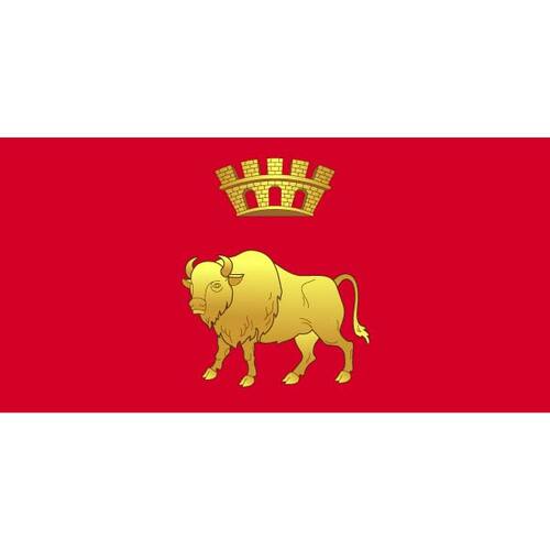 Flagg Hrodna regionen