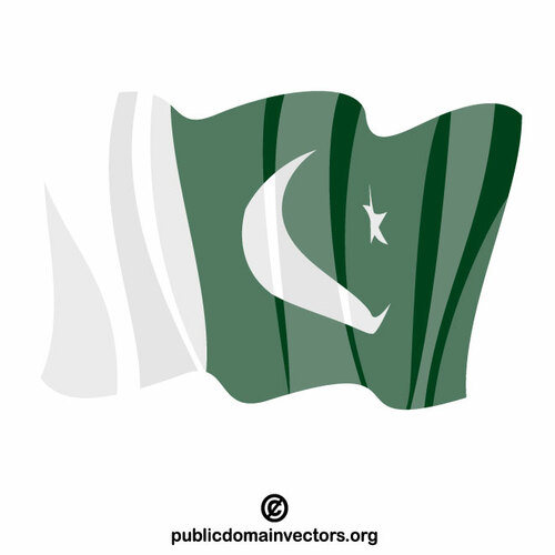 Imagen prediseñada vectorial de la bandera de Pakistán