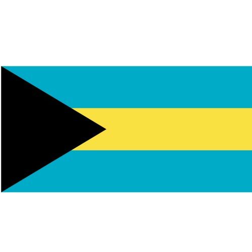 矢量旗帜的巴哈马群岛