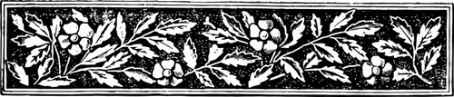 Horizontal floral banner vector illustration