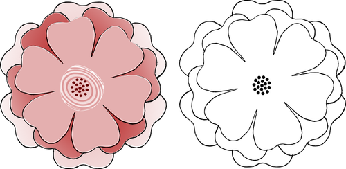 اثنين من الزهور