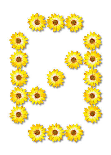 꽃 0