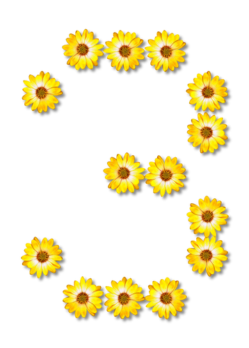 Çiçek sayısı 3