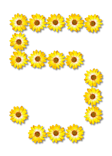 Çiçek sayısı beş