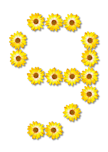 Желтые цветочные номер девять