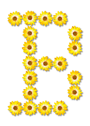 Flores letra D