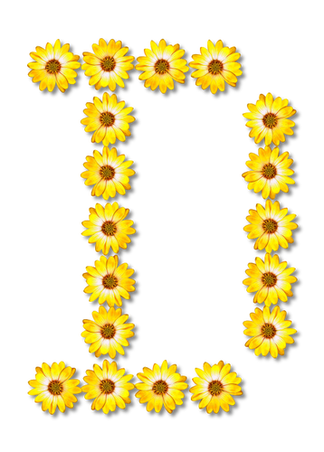 Çiçek D harfi