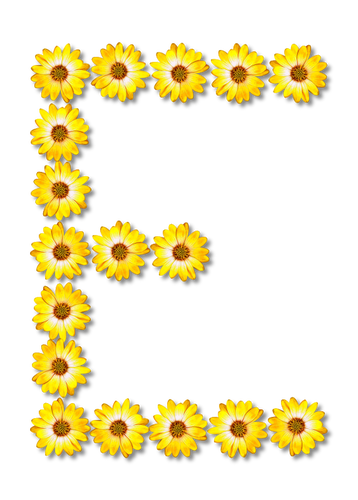 Kwiatowy list E