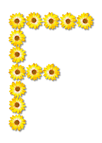Floral letter F