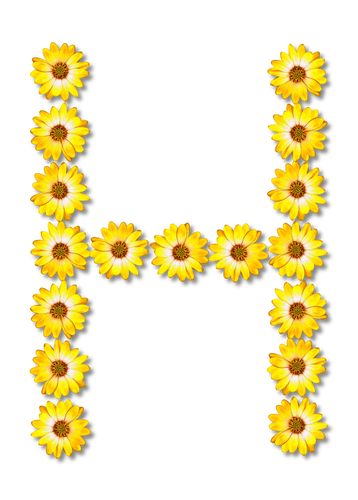 H mit Blumen gemacht