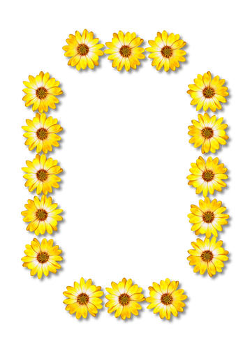 Floral lettre O