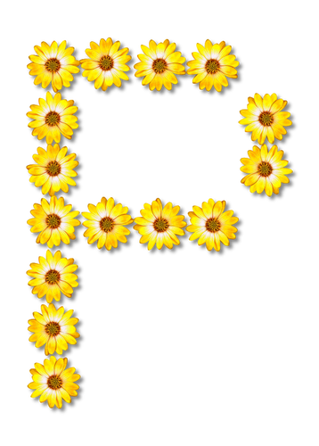 Flores letra P