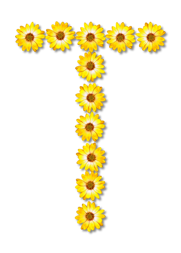 Çiçekli harf T