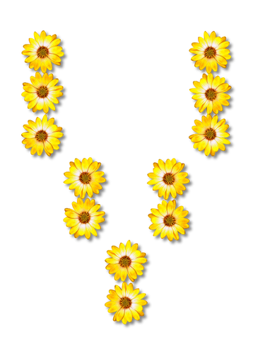 Floral letter V