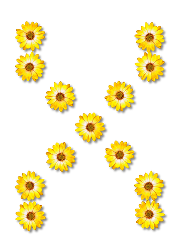 X oluşturan çiçekler