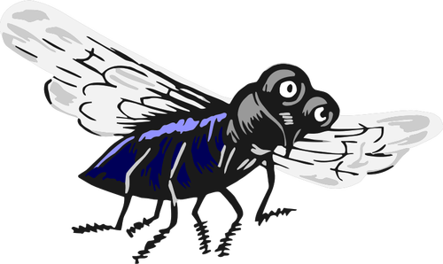 Fly insect vector image