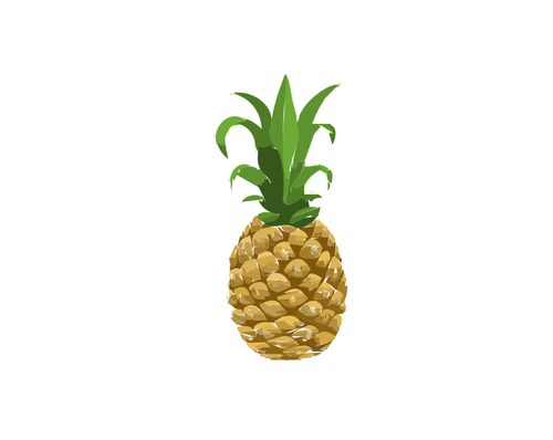 菠萝图像
