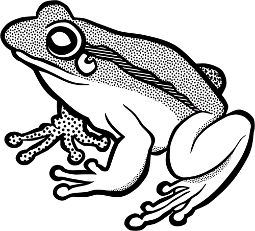 Vektorgrafikk utklipp av venter frosk i svart-hvitt