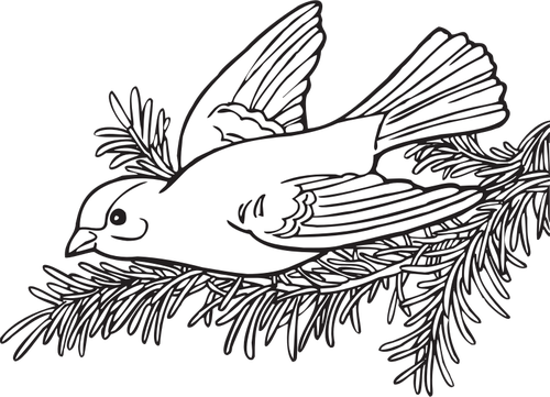 Dibujo de pájaro jilguero sauce vectorial