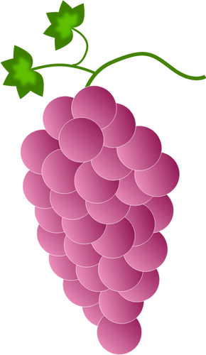Vaaleanpunaiset viinirypäleet