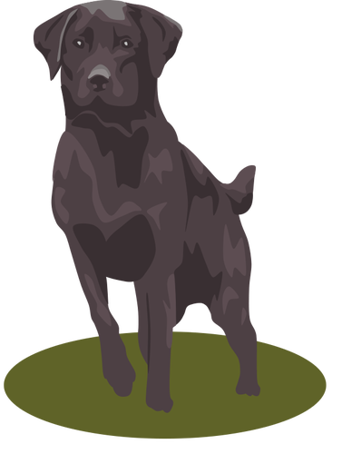 Schwarze Lab-Hund-Vektor-Bild