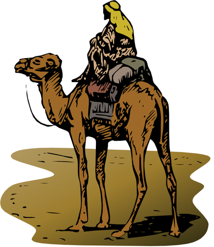 Kuva kamelin kanssa ratsastaja vektorissa